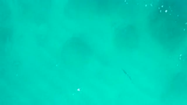 DESERT PARK NATURAL RESERVE BAJA CALIFORNIA SUR MEXICO-2020: Aerial View Of Turquoise Water With Shadows