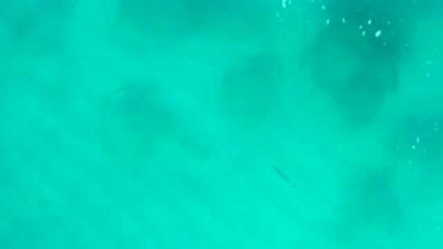 DESERT PARK NATURAL RESERVE BAJA CALIFORNIA SUR MEXICO-2020: Aerial View Of Turquoise Water With Shadows