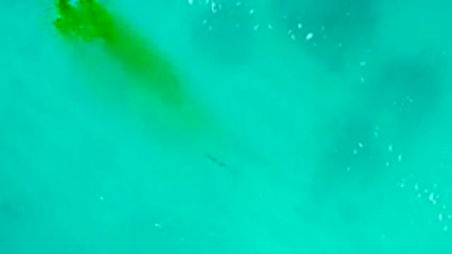 DESERT PARK NATURAL RESERVE BAJA CALIFORNIA SUR MEXICO-2020: Aerial View of Turquoise Water With Submerged Shadows