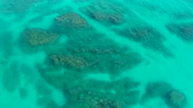DESERT PARK NATURAL RESERVE BAJA CALIFORNIA SUR MEXICO-2020: Aerial View Of Coral Reefs In Turquoise Water