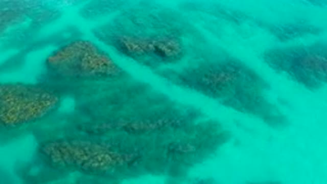 DESERT PARK NATURAL RESERVE BAJA CALIFORNIA SUR MEXICO-2020: Aerial View Of Coral Reefs In Turquoise Water