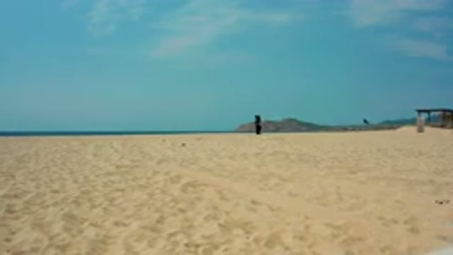 DESERT PARK NATURAL RESERVE BAJA CALIFORNIA SUR MEXICO-2020: Person Walking Along Sandy Beach Shoreline