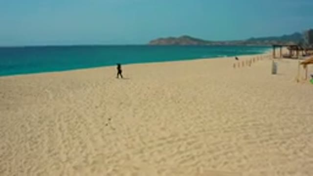 DESERT PARK NATURAL RESERVE BAJA CALIFORNIA SUR MEXICO-2020: Aerial View of Person Running on Sandy Beach
