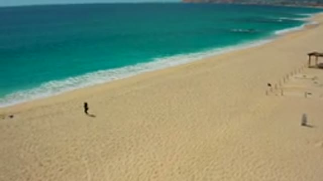 DESERT PARK NATURAL RESERVE BAJA CALIFORNIA SUR MEXICO-2020: Aerial View of Person Walking on Sandy Beach