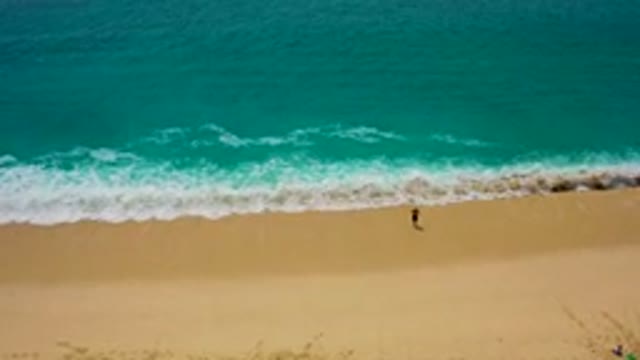 DESERT PARK NATURAL RESERVE BAJA CALIFORNIA SUR MEXICO-2020: Aerial View of Surfer Walking on Beach