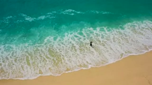 DESERT PARK NATURAL RESERVE BAJA CALIFORNIA SUR MEXICO-2020: Aerial View of Surfer in Turquoise Ocean