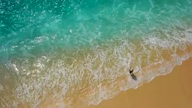 DESERT PARK NATURAL RESERVE BAJA CALIFORNIA SUR MEXICO-2020: Aerial View of Surfer Walking on Beach