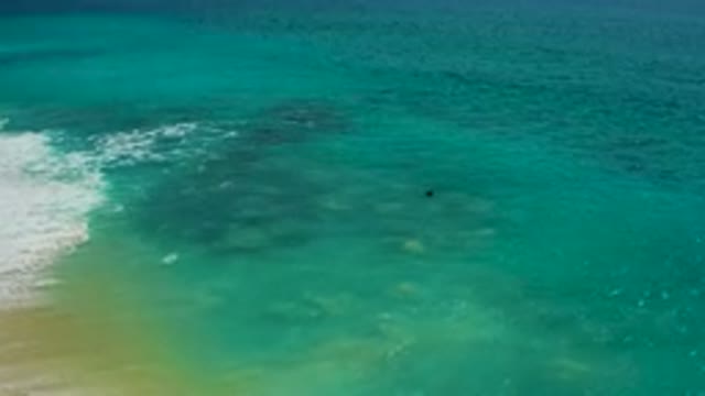 DESERT PARK NATURAL RESERVE BAJA CALIFORNIA SUR MEXICO-2020: Aerial View of Turquoise Ocean Waves Crashing on Beach