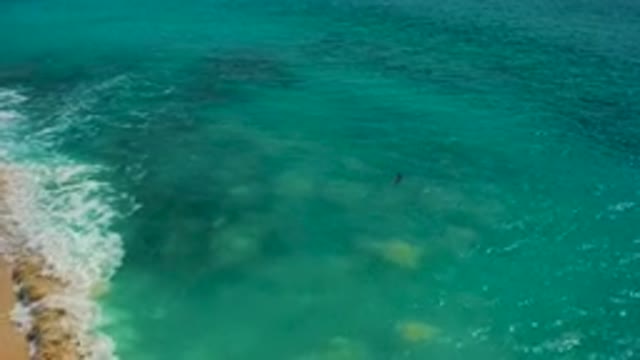 DESERT PARK NATURAL RESERVE BAJA CALIFORNIA SUR MEXICO-2020: Aerial View of Surfer in Turquoise Ocean