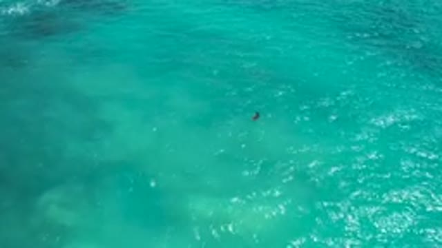 DESERT PARK NATURAL RESERVE BAJA CALIFORNIA SUR MEXICO-2020: Aerial View of Person Swimming in Turquoise Ocean