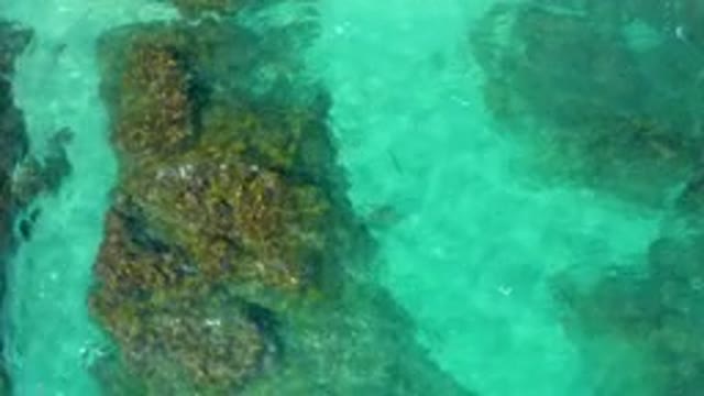 DESERT PARK NATURAL RESERVE BAJA CALIFORNIA SUR MEXICO-2020: Aerial View Of Submerged Rocks In Turquoise Water