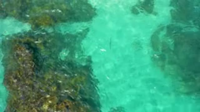 DESERT PARK NATURAL RESERVE BAJA CALIFORNIA SUR MEXICO-2020: Aerial View Of Turquoise Water Over Rocky Reef
