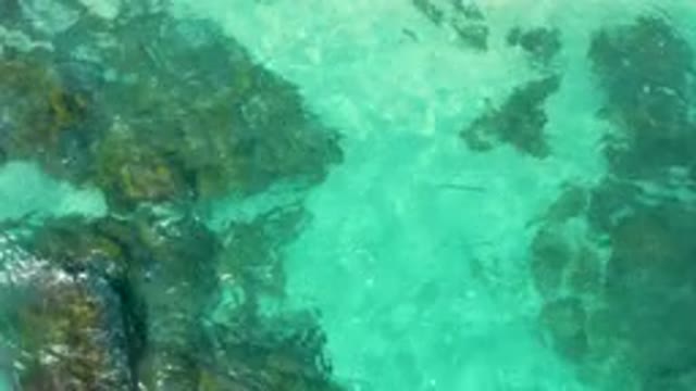 DESERT PARK NATURAL RESERVE BAJA CALIFORNIA SUR MEXICO-2020: Aerial View Of Turquoise Water Over Rocks