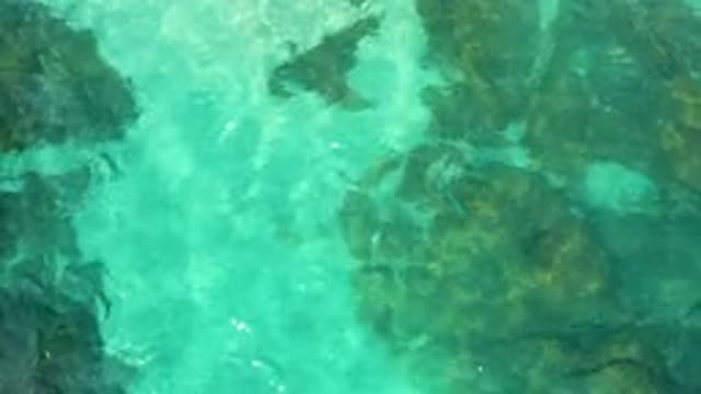 DESERT PARK NATURAL RESERVE BAJA CALIFORNIA SUR MEXICO-2020: Aerial View Of Turquoise Water And Rocks