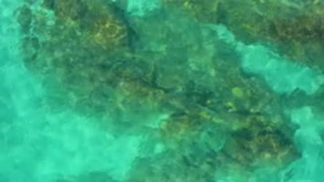 DESERT PARK NATURAL RESERVE BAJA CALIFORNIA SUR MEXICO-2020: Aerial View Of Submerged Coral Reef In Turquoise Water