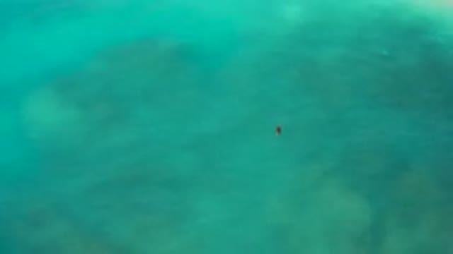 DESERT PARK NATURAL RESERVE BAJA CALIFORNIA SUR MEXICO-2020: Aerial View of Surfer in Turquoise Ocean